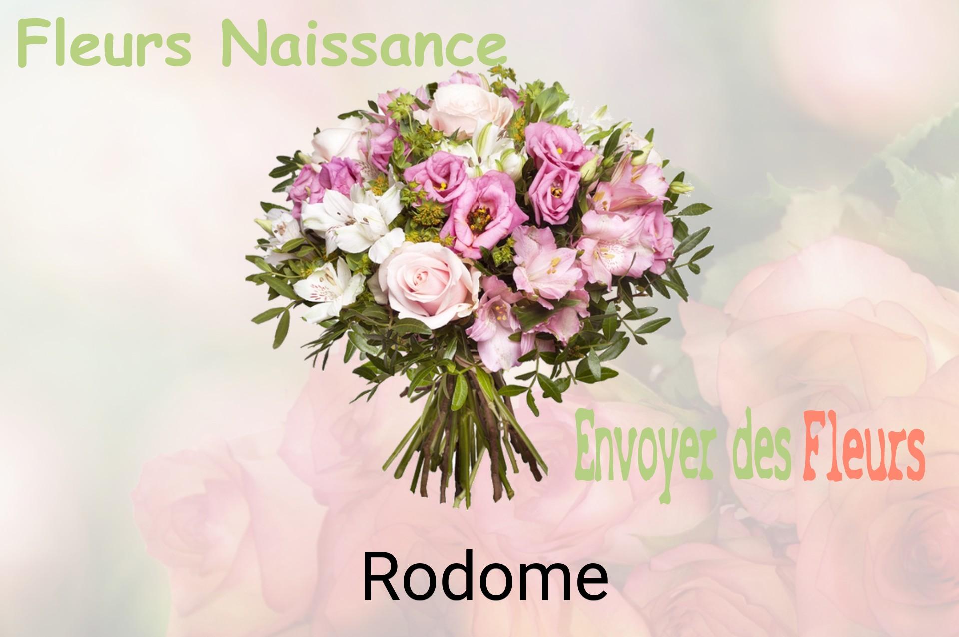 Bouquet de fleurs de naissance livré à Rodome